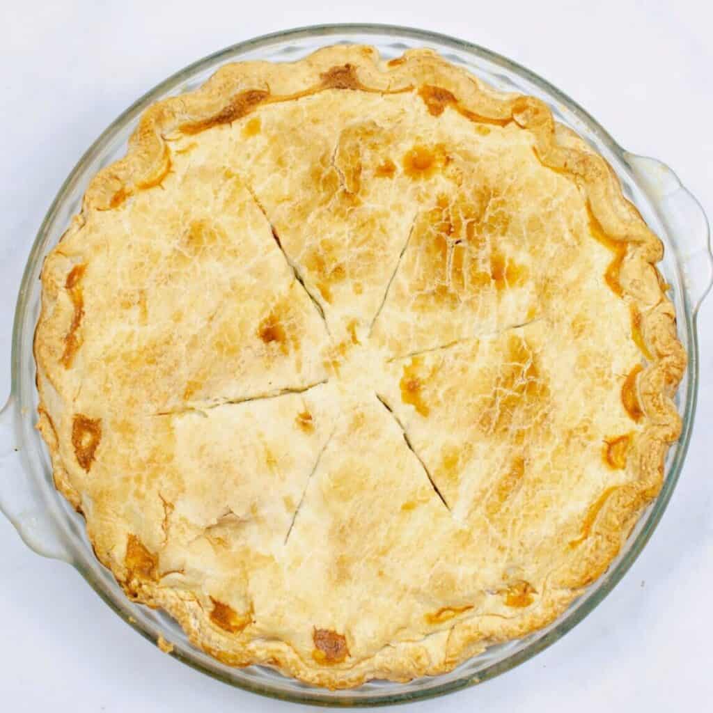 Easy Turkey Pot Pie Recipe - Everyday Eileen